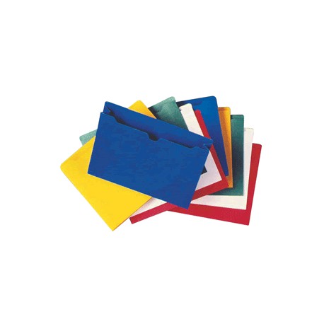 FOLDER EXPANDIBLE GLOBE WEIS VARIOS COLORES CON 10 - Envío Gratuito