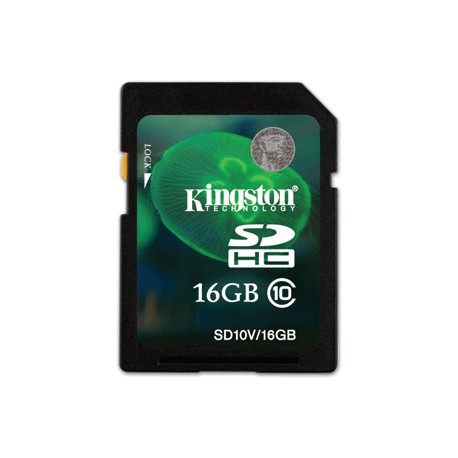 TARJETA DE MEMORIA SD KINGSTON 16GB CLASE 10 - Envío Gratuito