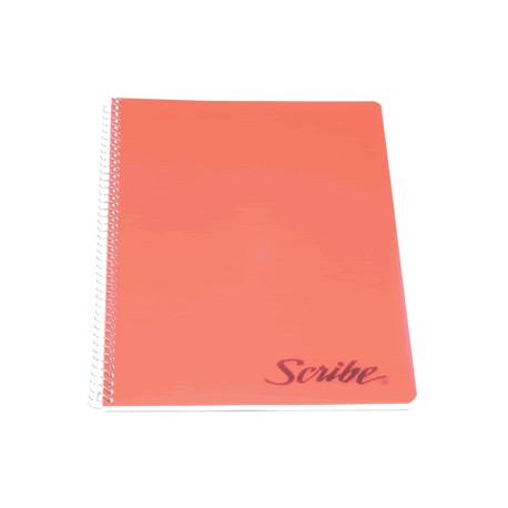 CUADERNO PROFESIONAL SCRIBE CLASICO CUADRO GR 100H - Envío Gratuito