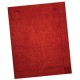 CUADERNO EJECUTIVO RAYA NORMA 72 HOJAS DAILY NOTES - Envío Gratuito