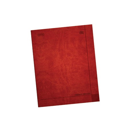 CUADERNO EJECUTIVO RAYA NORMA 72 HOJAS DAILY NOTES - Envío Gratuito